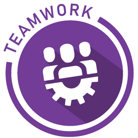 Teamwork logo